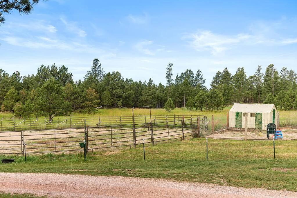 Papa'S Place On Willow Creek Custer Extérieur photo