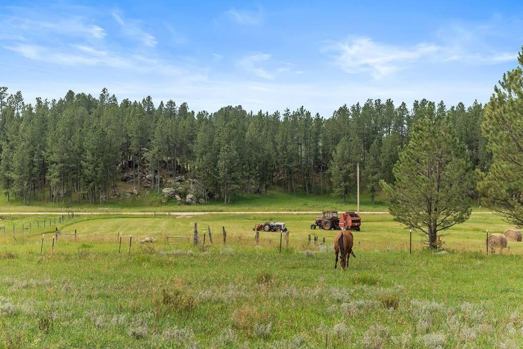 Papa'S Place On Willow Creek Custer Extérieur photo